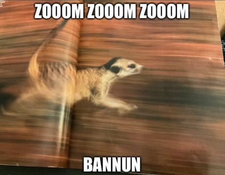 ZOOM ZOOM ZOOM BANNUN